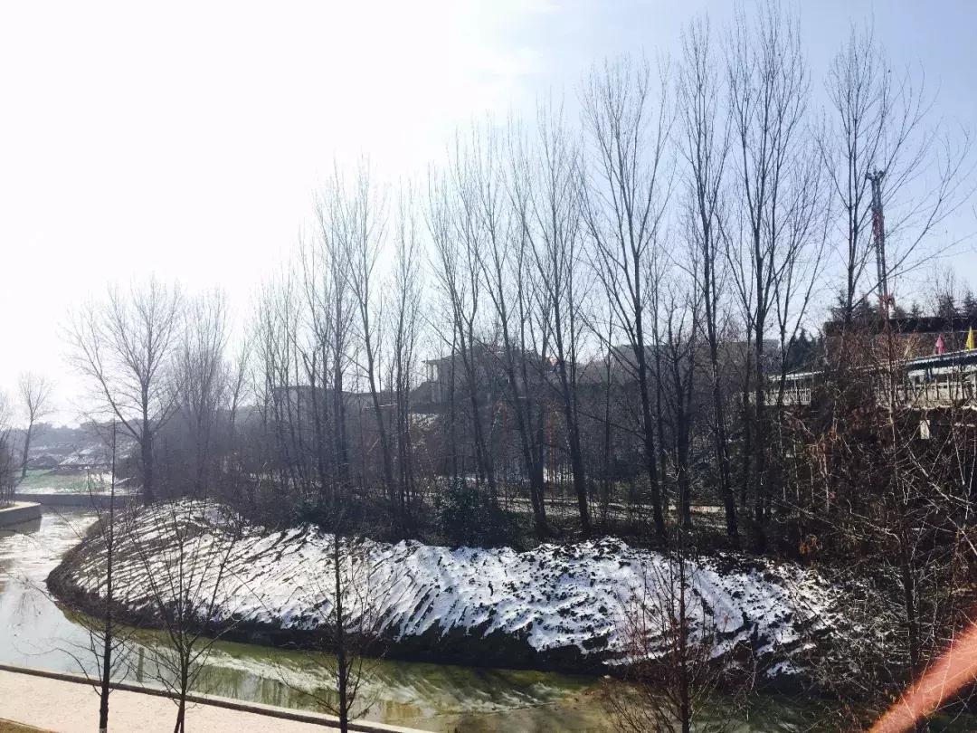 鎺㈢储瑗垮畨鍚勫ぇ楂樻牎,鐩樼偣瑗垮畨鍚勫ぇ楂樻牎