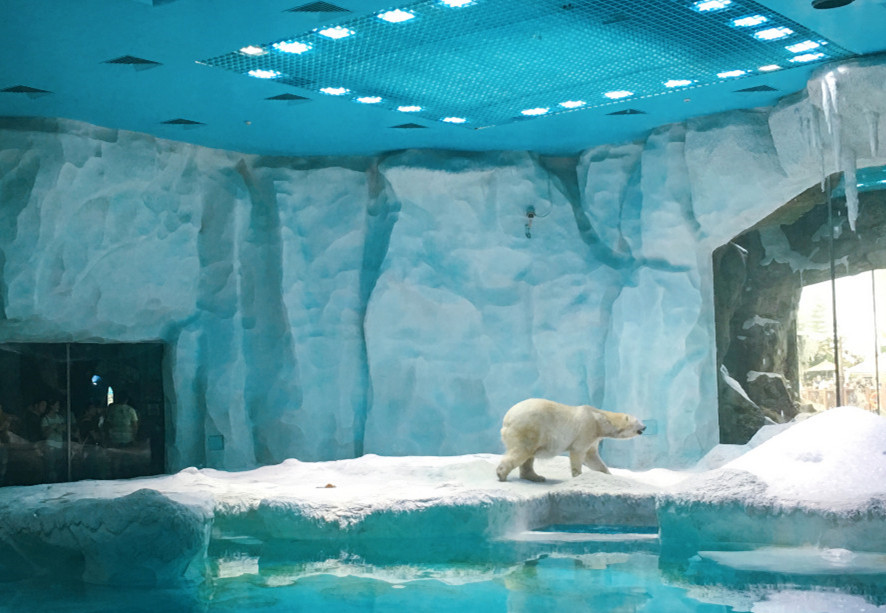 去珠海长隆海洋王国住哪里好,海昌海洋公园和长隆海洋王国