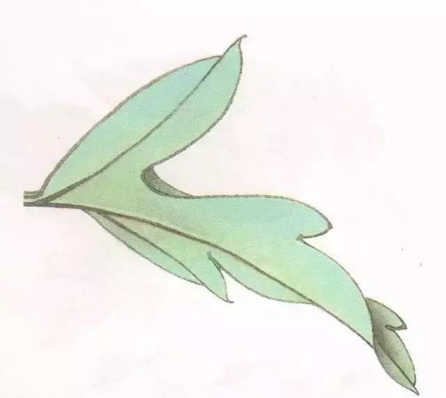 工笔画粉红花染色步骤,10分钟学会工笔画花朵染色