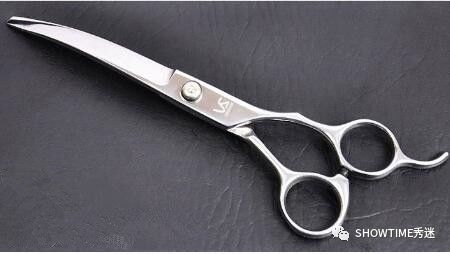 新手铲屎官养宠物该怎么办,怎么成为合格的养狗铲屎官