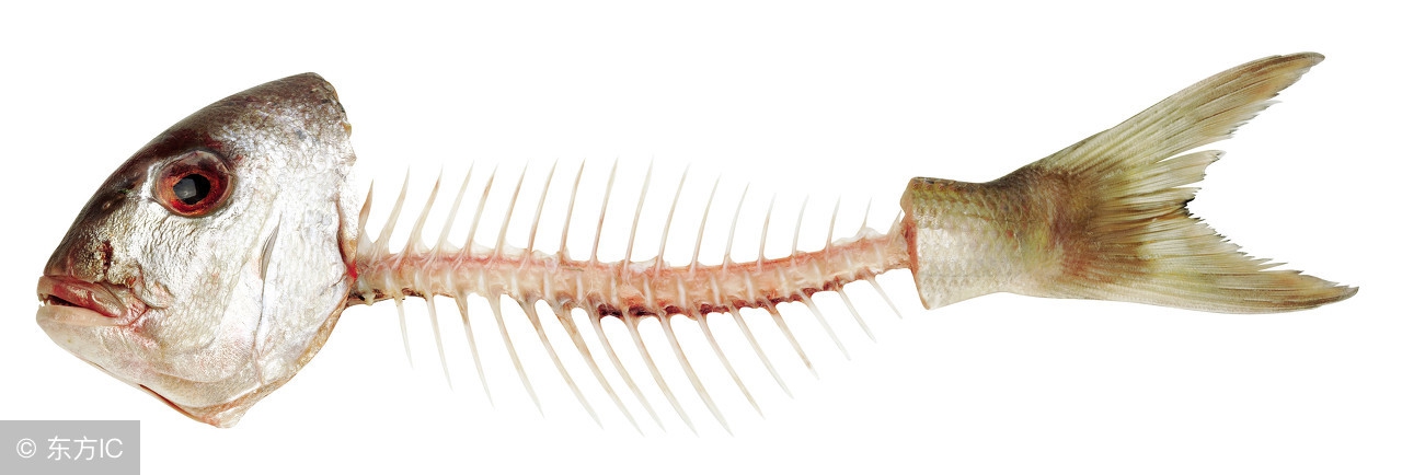 东营微文化完整版,东营微文化现状