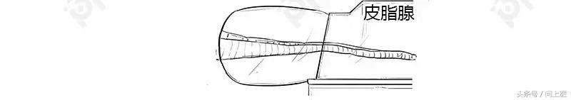 为什么别人的头发总是光滑柔顺你的却毛躁不堪？漫画教你如何护发