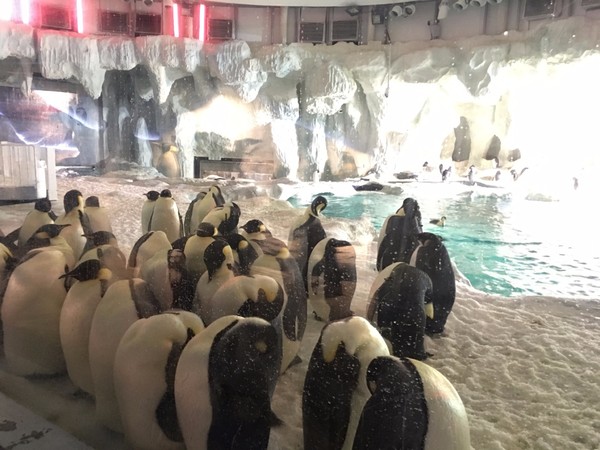 去珠海长隆海洋王国住哪里好,玩转珠海长隆海洋王国全攻略