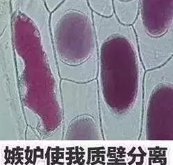 7500元gucci包,gucci包7500元