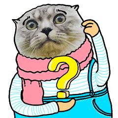 日韩适合混油皮的持妆气垫,日韩气垫什么牌子好