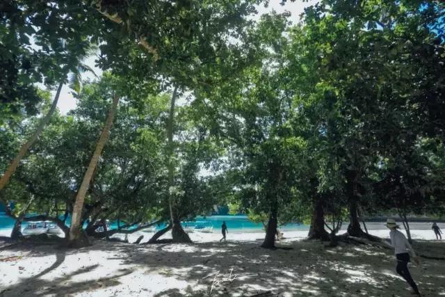 帕劳去玩的人多吗,帕劳到巴厘岛