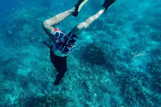 帕劳去玩的人多吗,帕劳到巴厘岛