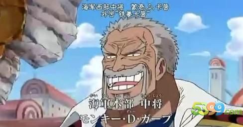 海贼王路飞的家族介绍,海贼王路飞的家族所有人的图片