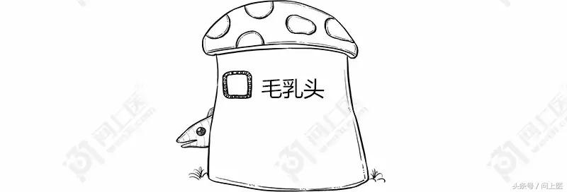 为什么别人的头发总是光滑柔顺你的却毛躁不堪？漫画教你如何护发