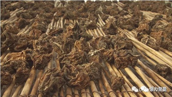 45万人的名片,太漂亮了!!《奈曼人的名片》最新版,45万次!!!精工打造!!!