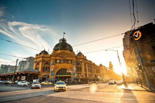 澳洲虫子到底有多可怕,澳洲虫子有多可怕