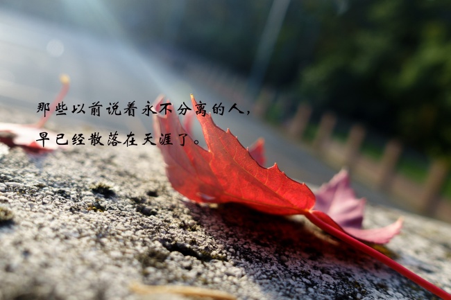 不管未来如何珍惜当下的美好文案,拥有现在珍惜未来