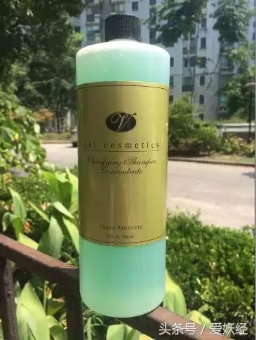 宠物洗护攻略,爱妖经养宠怎么玩