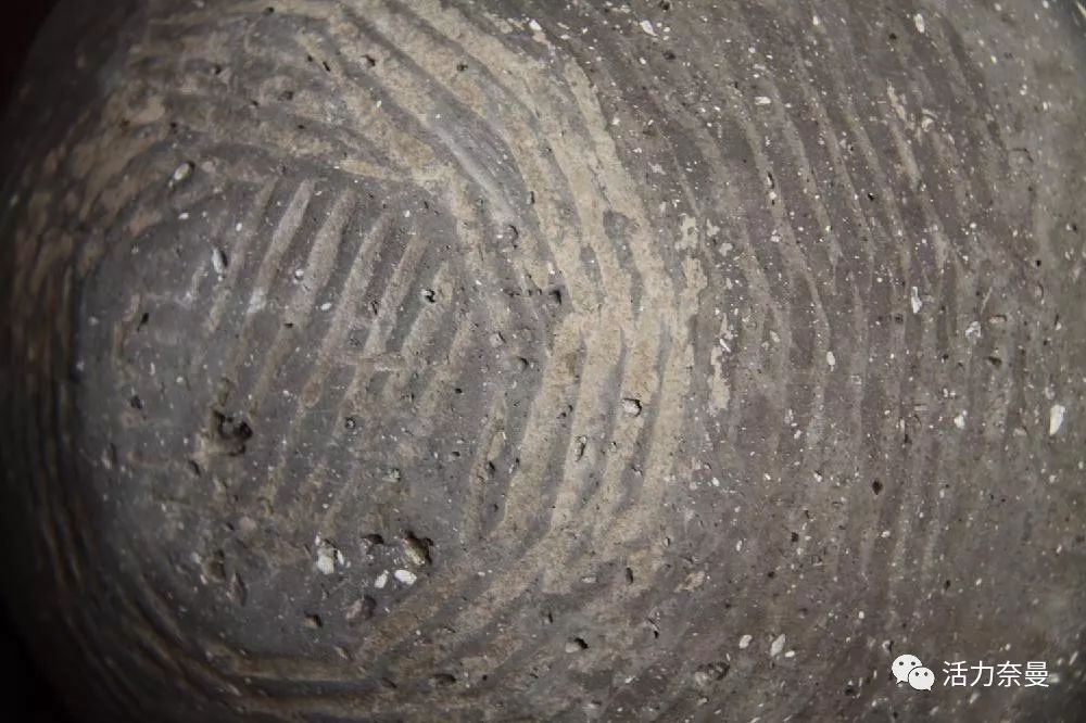 奈曼从哪儿来的,奈曼人真实身份