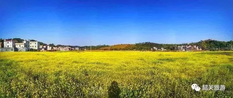 滚蛋吧,春困君!广东这些花花世界让你秒变龙马精神!