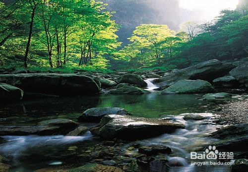 2022年春节张家界旅游须知,张家界2018旅游攻略图片