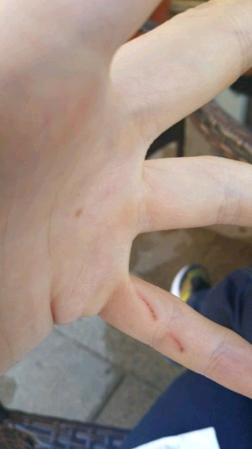 在邻家，领养了只狸花猫，喂养一个月，噩梦就开始了！