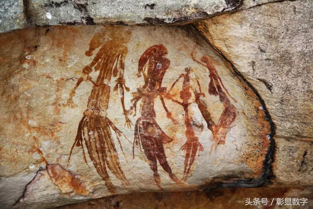 考拉是如何灭绝的,考拉是如何存活的