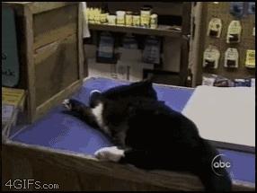 鍋囨湡寤堕暱缇庨,鎵撳崱娲涢槼杩欎簺缇庨鑰佸簵