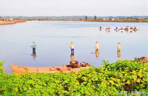徐闻新年游玩的地方,徐闻超好看的地方