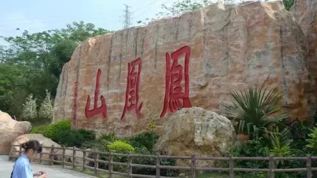 深圳旅游免费全攻略,深圳旅游指南最新版全文解读