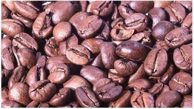 世界上最贵的食材排行,世界最贵的食材排行榜