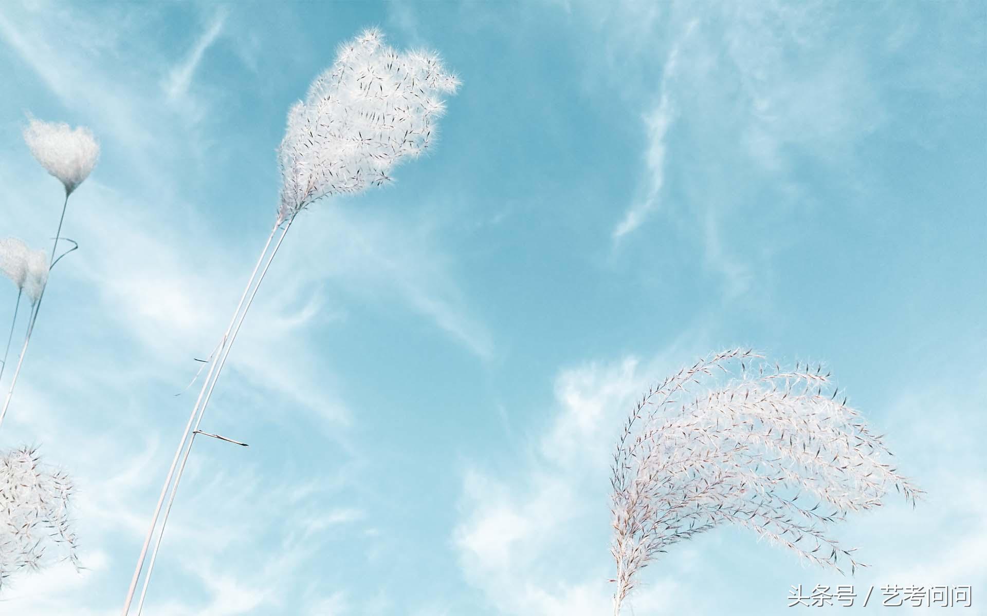 北京电影学院艺考流程,北京电影学院艺考初试视频