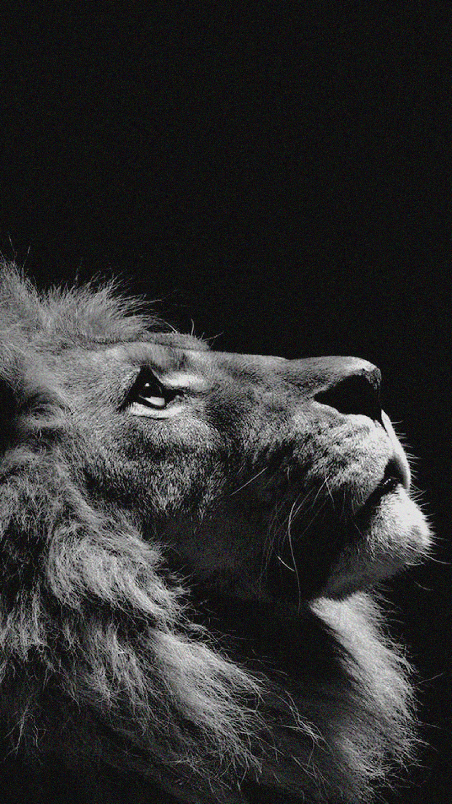 精选手机壁纸,纯粹的幸福意境黑白灰手机壁纸