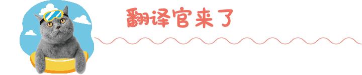23-24意大利主场,意大利华人春节演出活动
