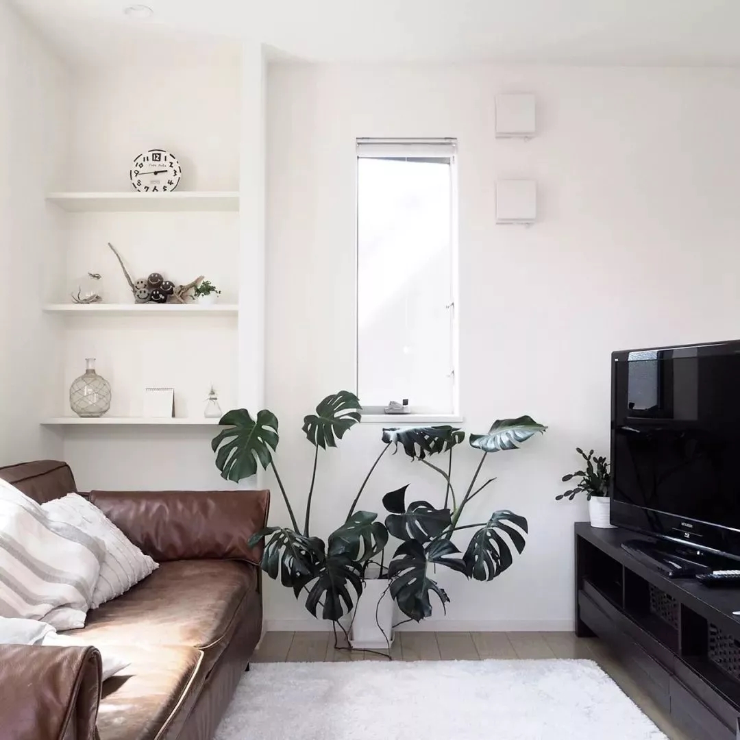 跟着“盐系”人设一起火了的,还有盐系家居