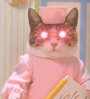 气垫bb推荐公认好用的,最好的气垫bb排行榜