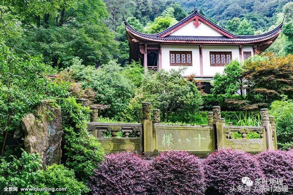 如果给中国名茶选代言人，历史上这些帝王分别可以代言什么茶？