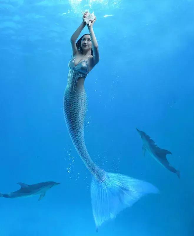 公主奇缘电视剧全集,公主奇缘全集免费观看