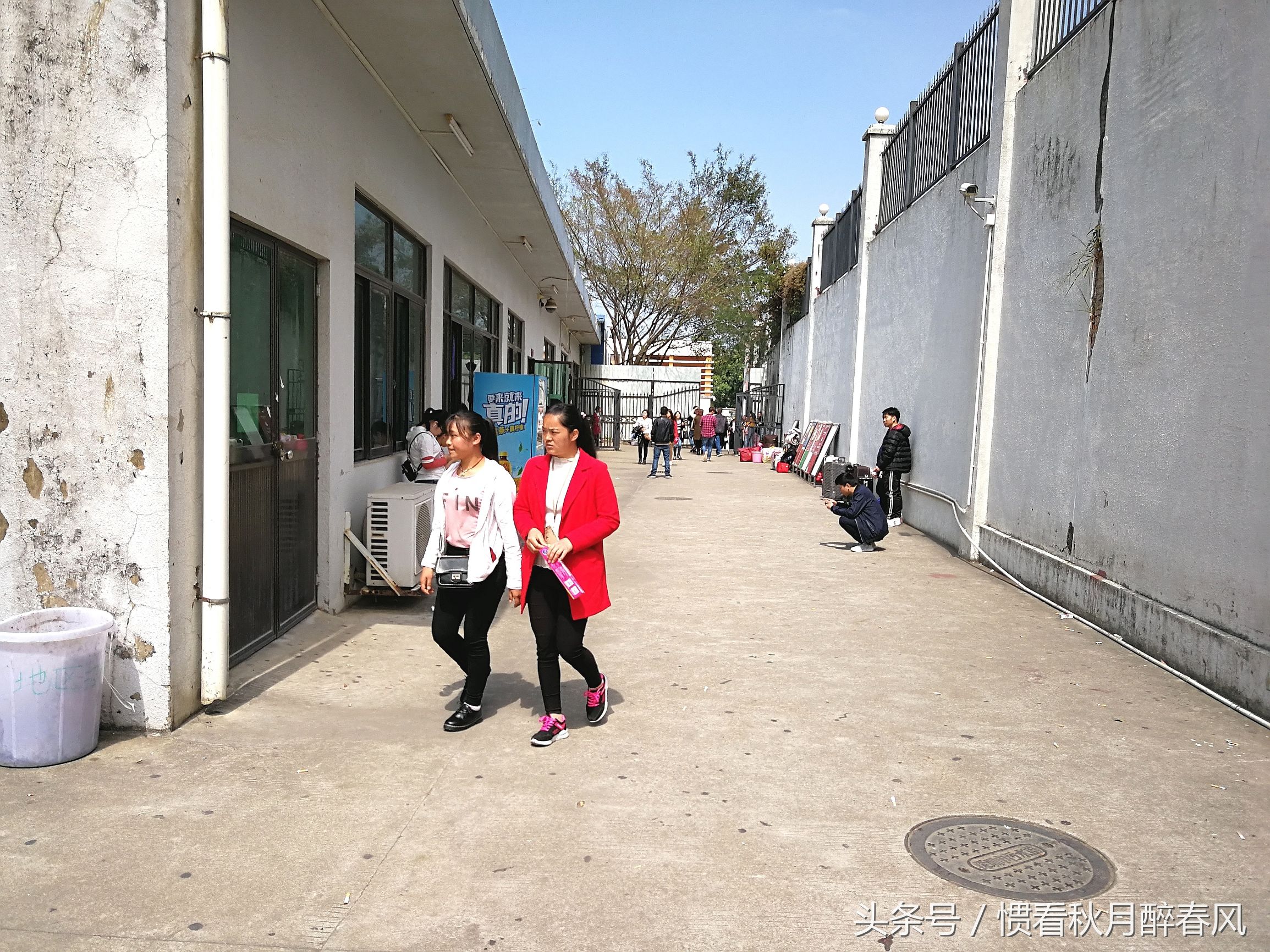 深圳市龙岗区宝龙比亚迪招工直播,宝龙比亚迪招聘排队