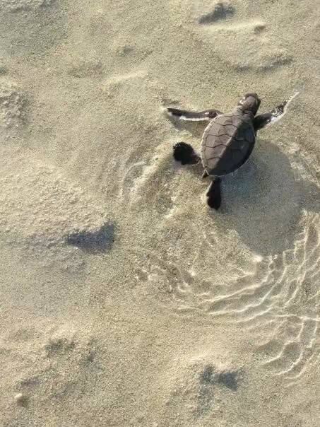 澳洲签证体检后多久签证可以获批,澳洲820签证转801签证需要多久