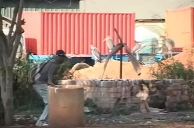 什么鬼完整版视频,什么鬼片更搞笑