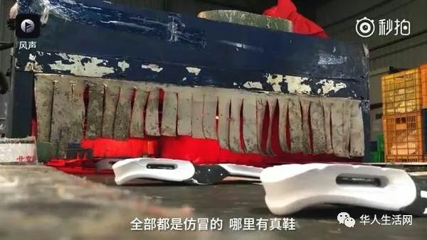 【重磅】中国造假术，登峰造极！全是假货，没有一件真品|转帖