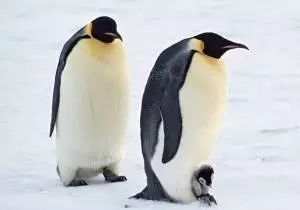 广东人都不会写的粤语字,粤语会说不会写的315个字