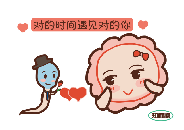 是做试管婴儿好还是做人工授精好,做试管之前一定要做人工授精吗