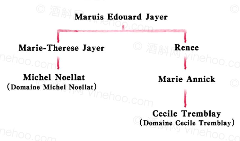 “勃艮第之神”亨利·贾叶（HenriJayer）家族和他的门徒们