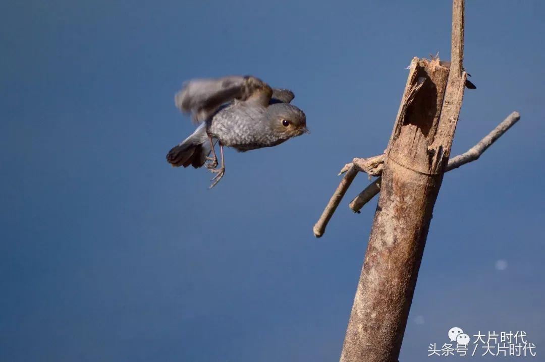 美丽中国摄影片段,38集美丽中国