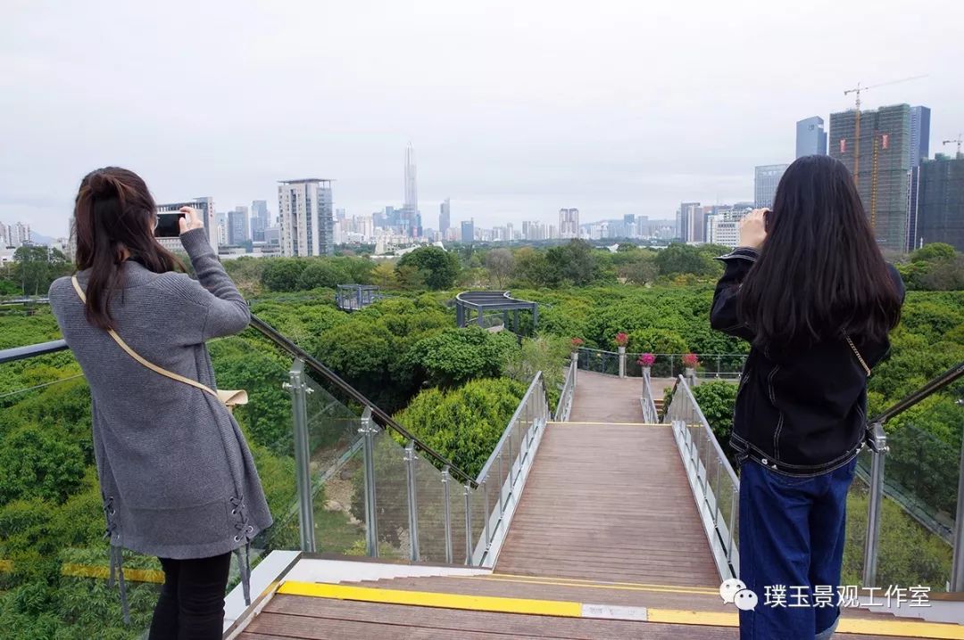 2019年香蜜湖公园,最新香蜜公园视频