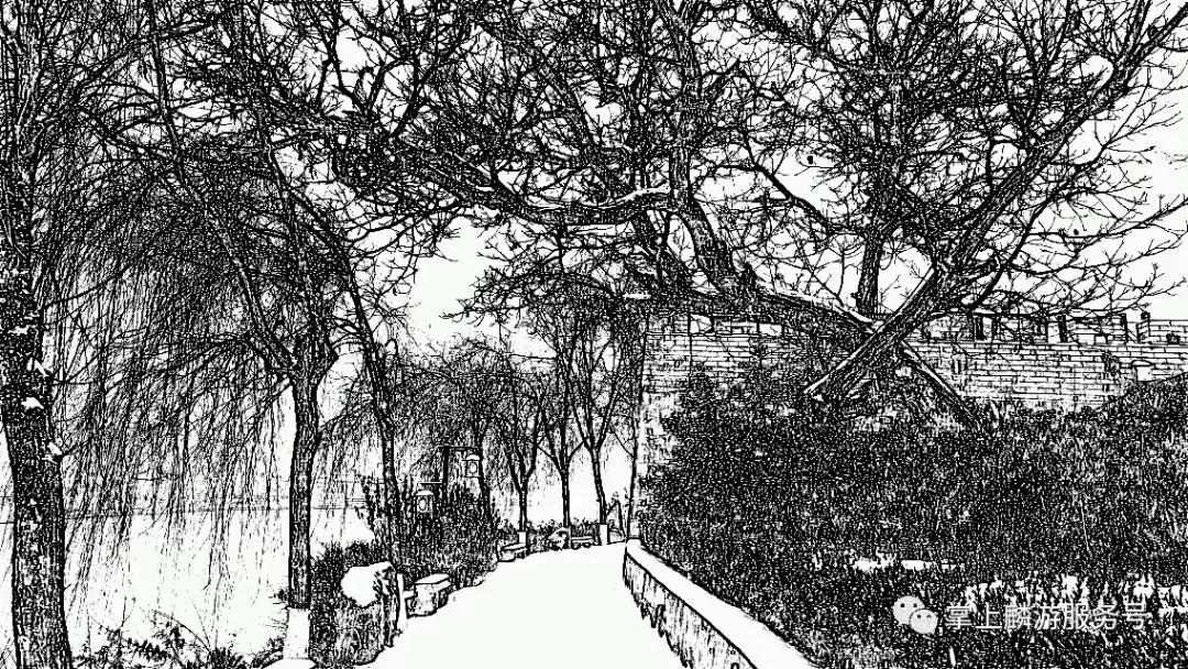 美丽麟游完整视频,雪景美如素描画