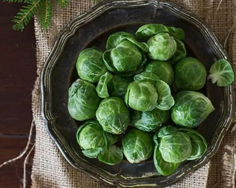 卷心菜队伍里的当红炸子鸡——孢子甘蓝