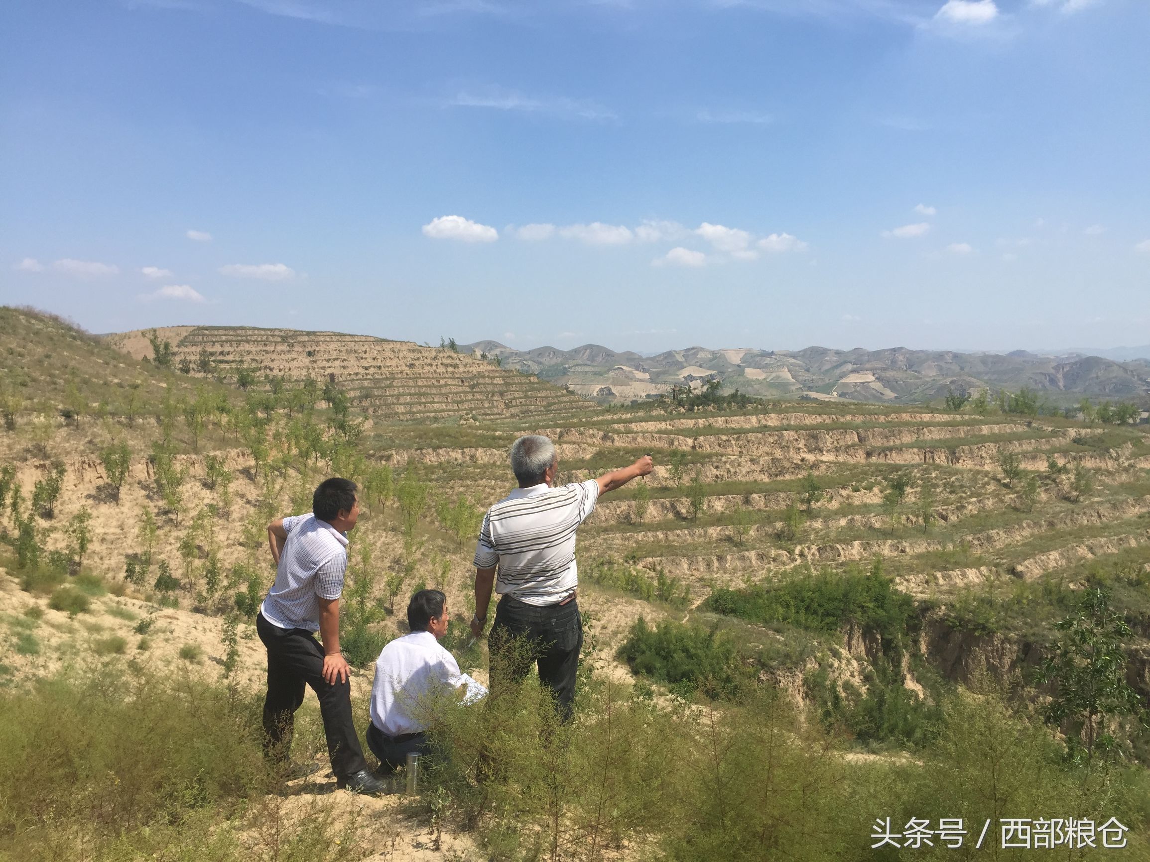 西安西部粮仓农业发展有限公司,兰州新区西部粮仓项目最新消息