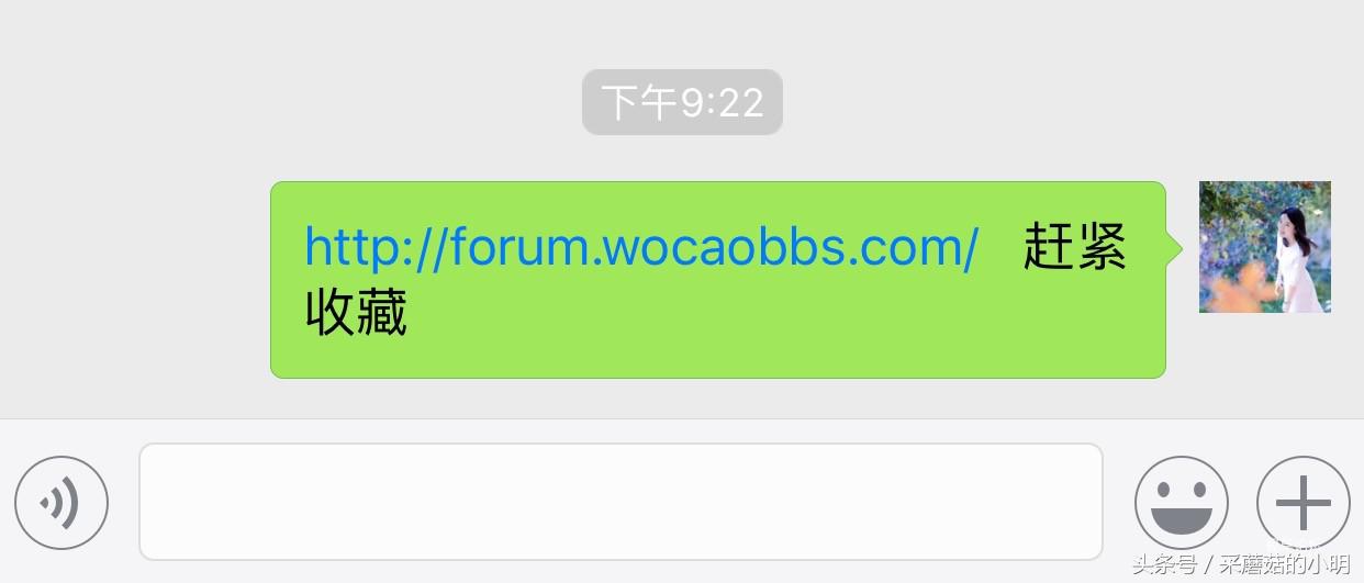 微信超过200人群发技巧,微信群发限制