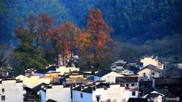 乡村生态旅游的发展策略,乡村旅游资源的开发经营