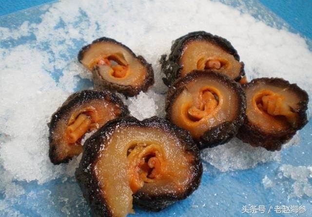 底播海参和养殖海参的区别,海参有多种哪种海参最好