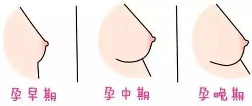 这七个早孕征兆,说明小宝宝们就要来报道啦~接好孕吧!