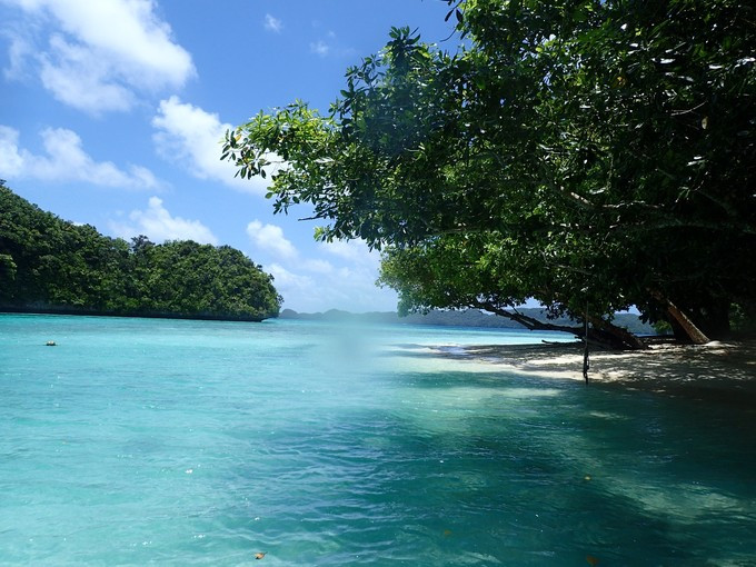 蜜月短途旅行,蜜月旅行遇见朋友闺蜜